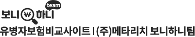 유병자보험비교사이트 보니하니